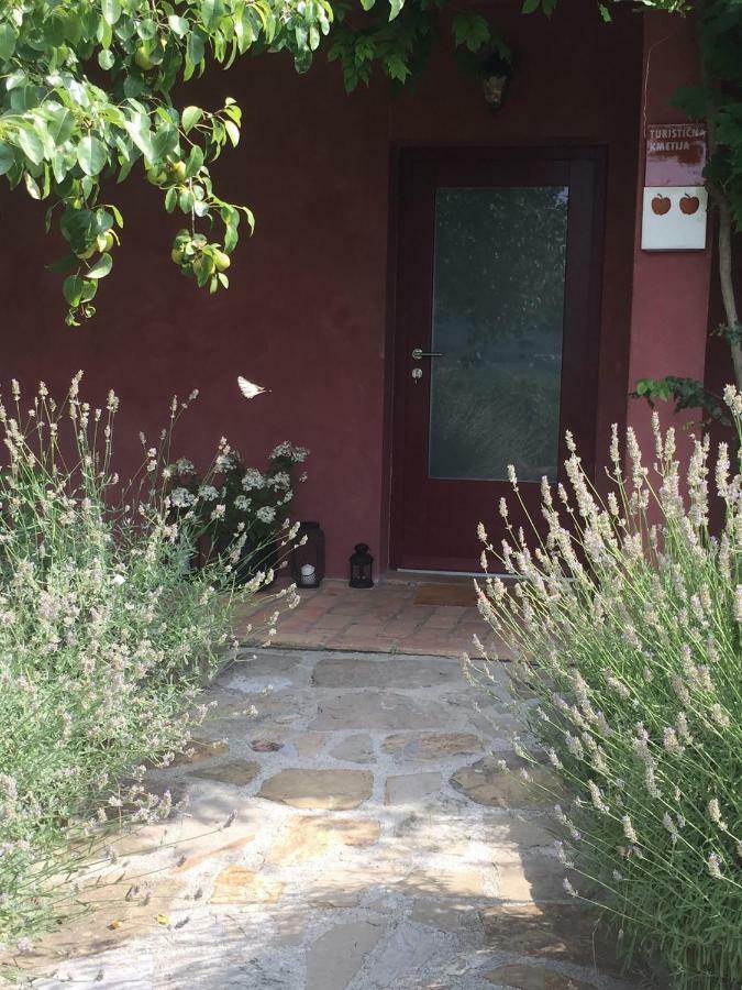Apartma Vita Dobrovo Exterior photo